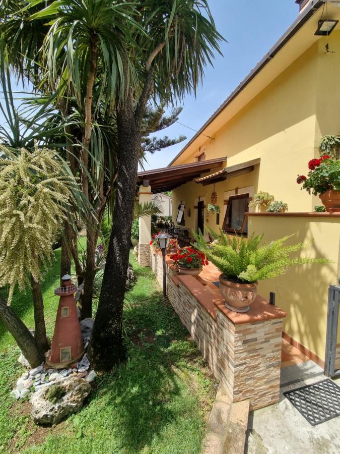 Bed and Breakfast Il Ruscello Maratea Zewnętrze zdjęcie