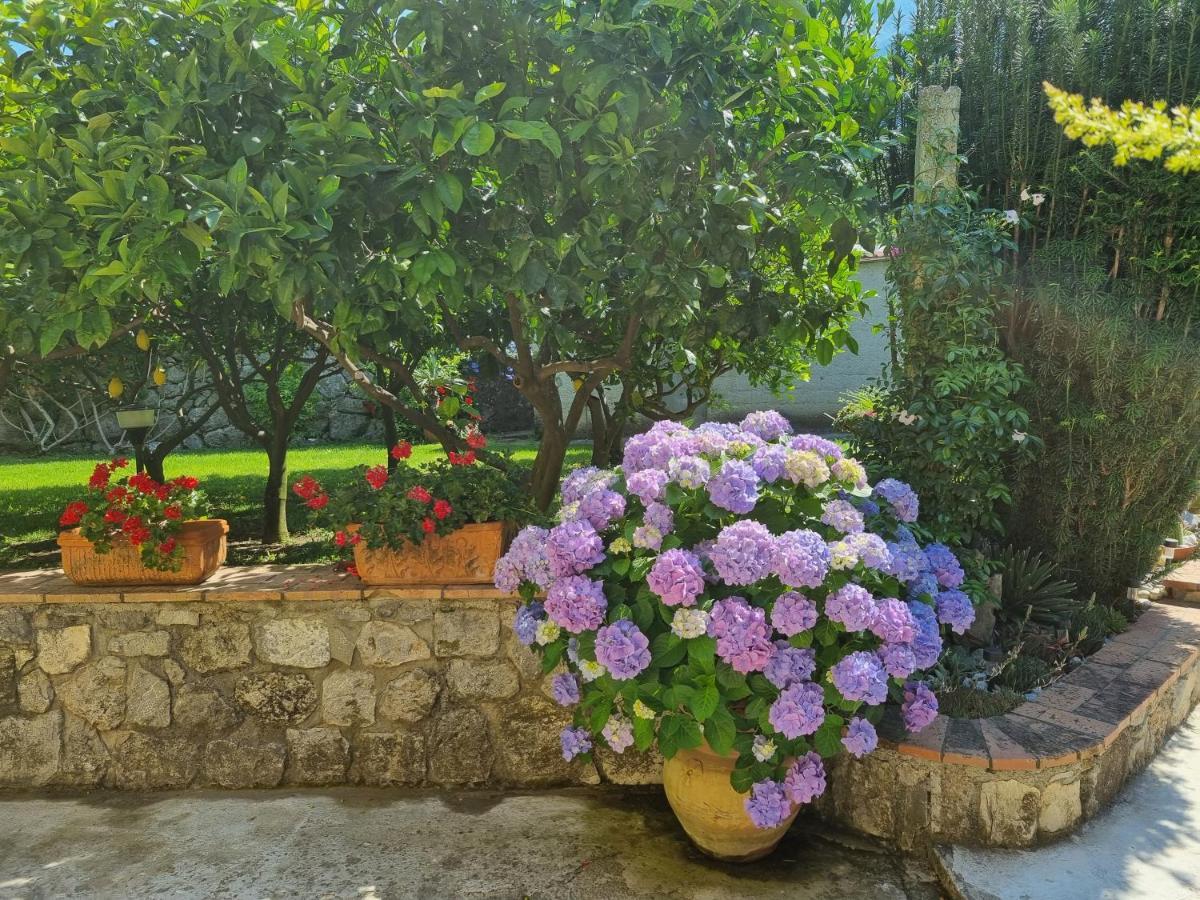 Bed and Breakfast Il Ruscello Maratea Zewnętrze zdjęcie