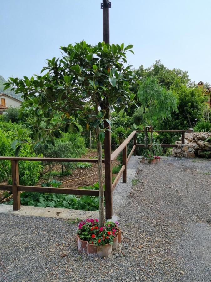 Bed and Breakfast Il Ruscello Maratea Zewnętrze zdjęcie