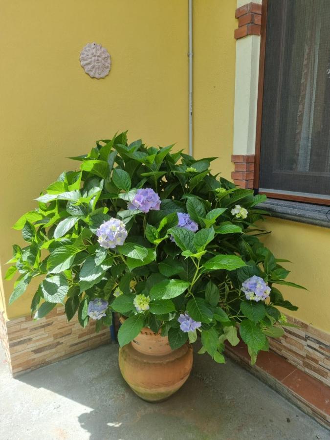 Bed and Breakfast Il Ruscello Maratea Zewnętrze zdjęcie