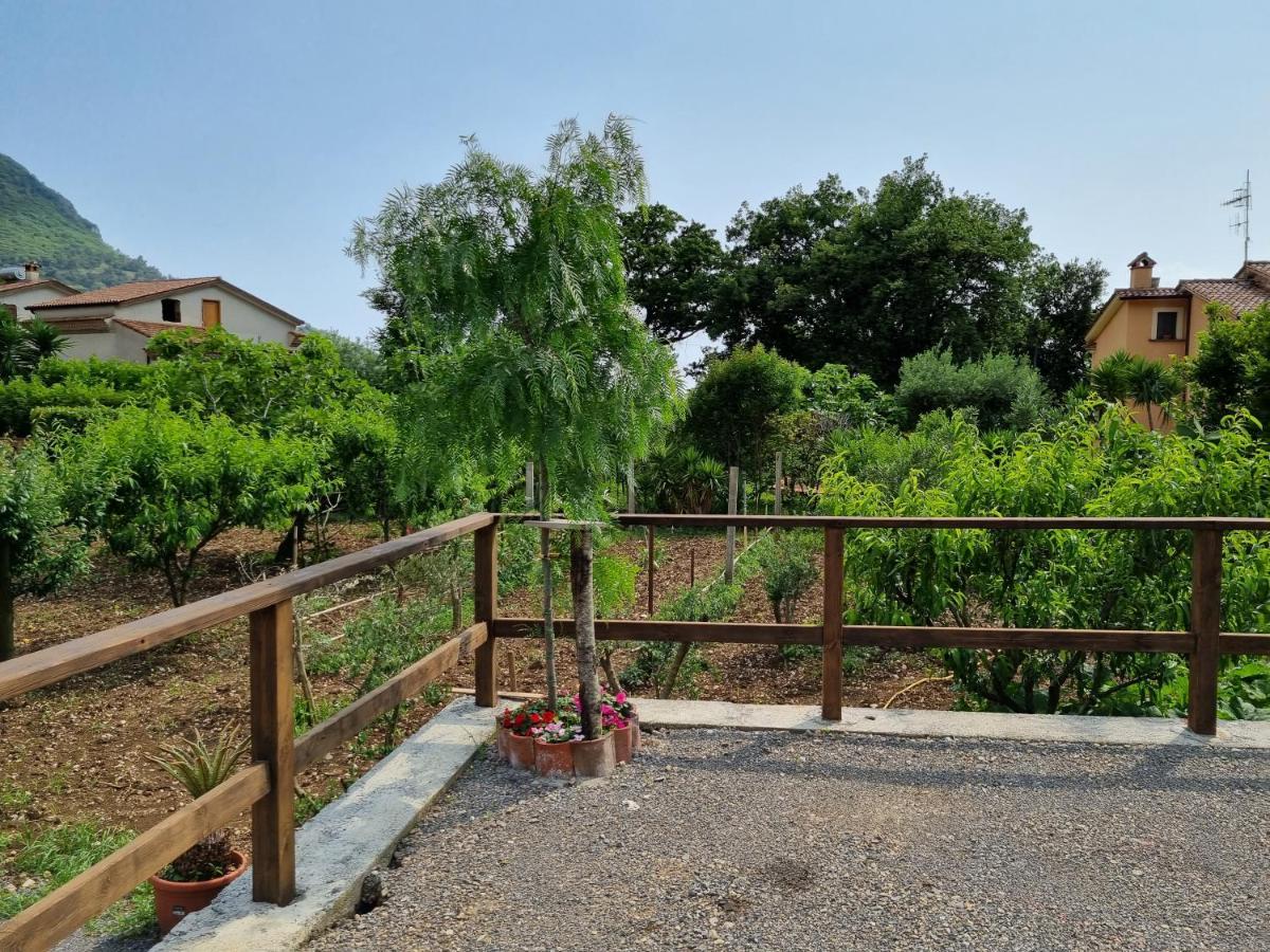 Bed and Breakfast Il Ruscello Maratea Zewnętrze zdjęcie