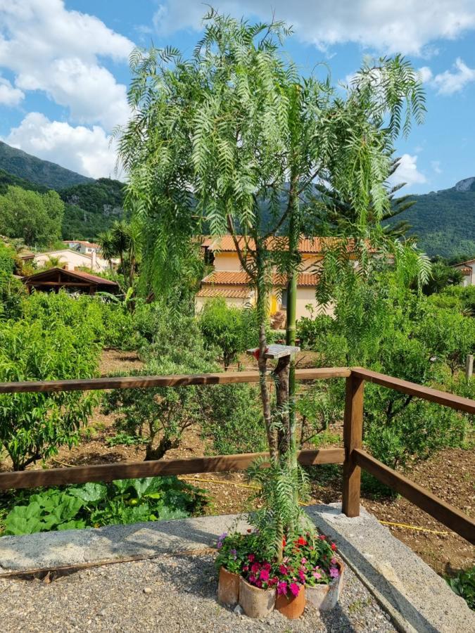 Bed and Breakfast Il Ruscello Maratea Zewnętrze zdjęcie